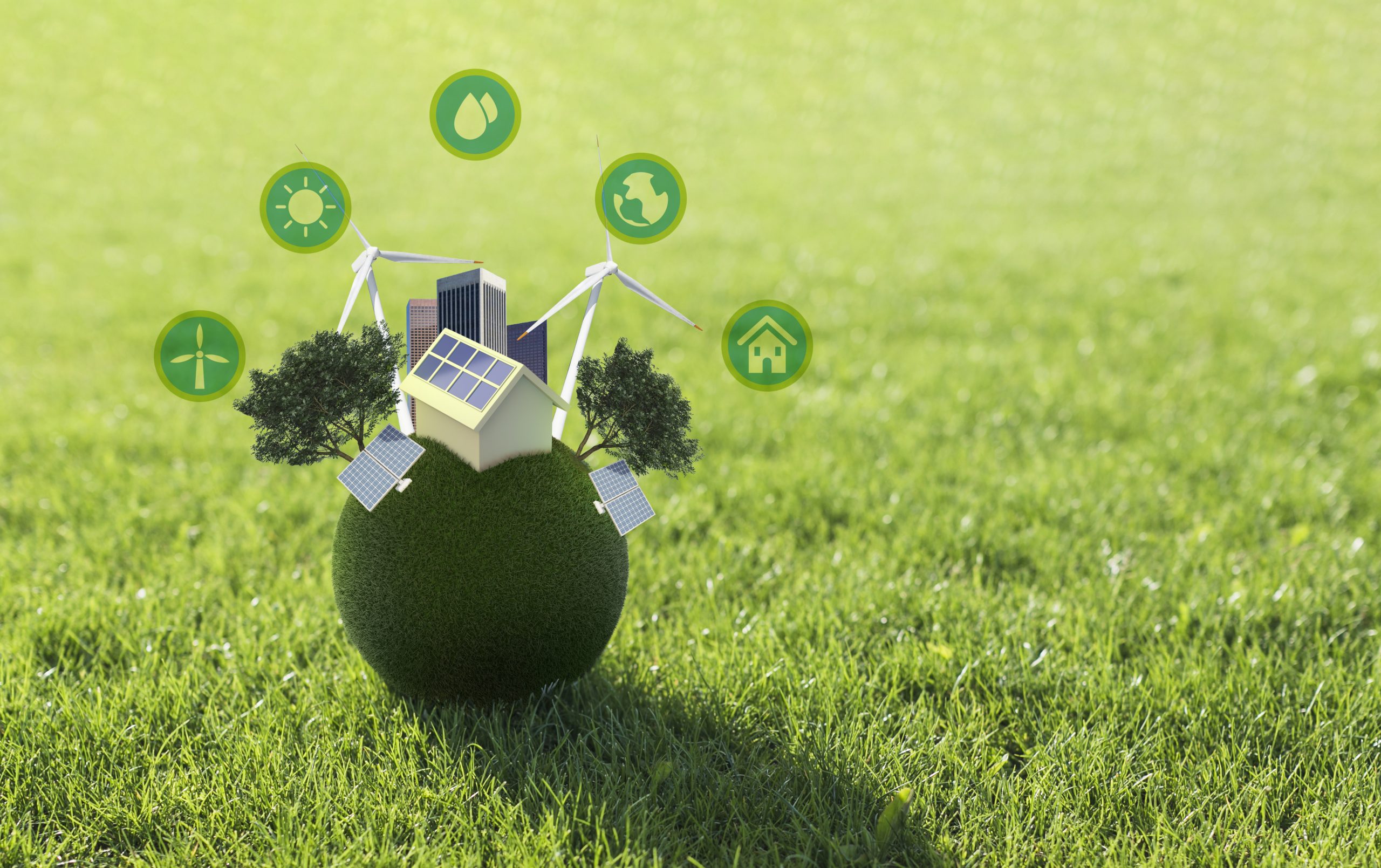Eco-Friendly Initiatives at Blue Sky